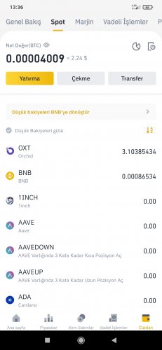Screenshot_2021-02-20-13-36-22-874_com.binance.dev.jpg