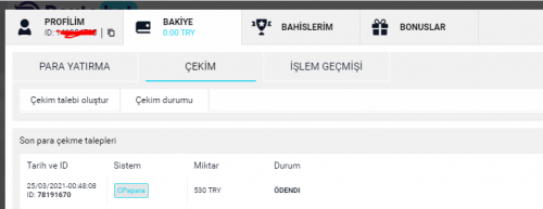 Ekran Alıntısı22.PNG