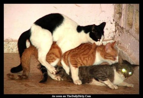 images (3).jpeg_new.jpg