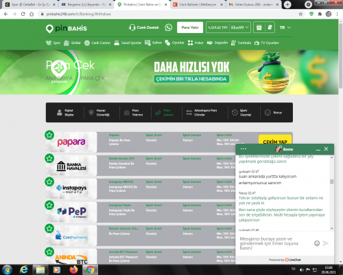 pinbahıs1.png