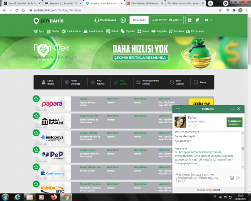 pinbahis3.png