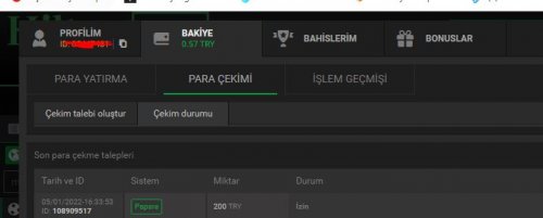 Ekran Alıntısı.JPG