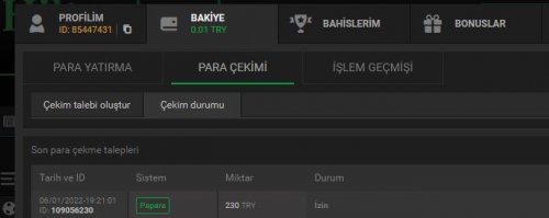 Ekran Alıntısı.JPG