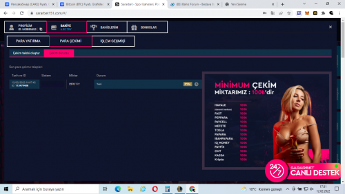 Ekran Görüntüsü (68).png