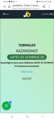 Screenshot_20220625-154420_Samsung Internet.jpg