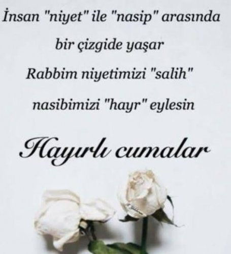 images - 2022-11-04T095331.595.jpeg