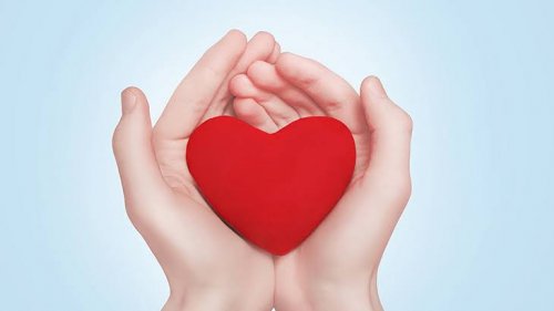 images - 2022-12-06T164730.950.jpeg