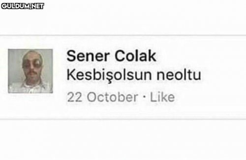 images (2) (22).jpeg