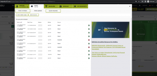 Ekran Alıntısı.PNG