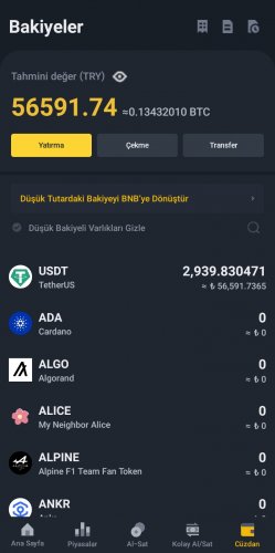 Screenshot_20230212-140541_Binance TR.jpg