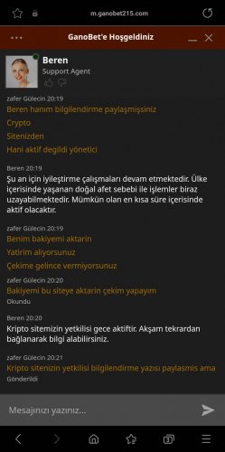 Screenshot_20230212-202116_Samsung Internet.jpg