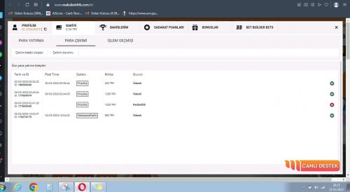 Ekran Alıntısı.JPG