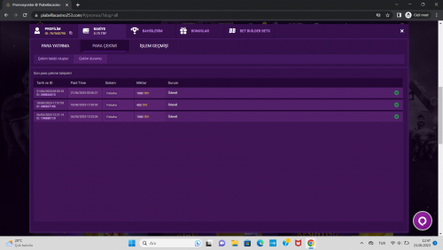 Ekran Görüntüsü (21).png