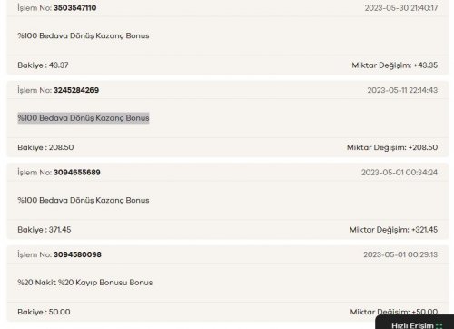 Ekran Alıntısı.JPG