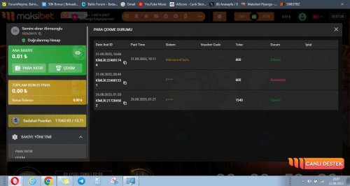 Ekran Alıntısı.JPG