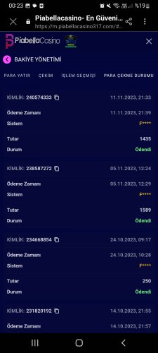Screenshot_20231112-002319_Samsung Internet.jpg