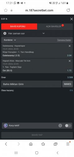 Screenshot_20240115-172116_Samsung Internet.jpg