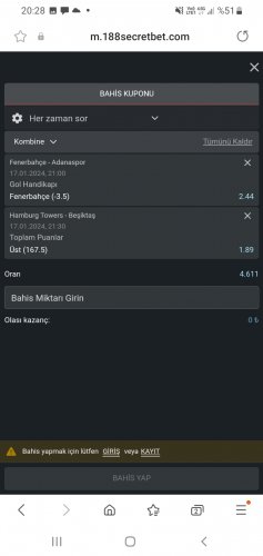 Screenshot_20240117-202834_Samsung Internet.jpg
