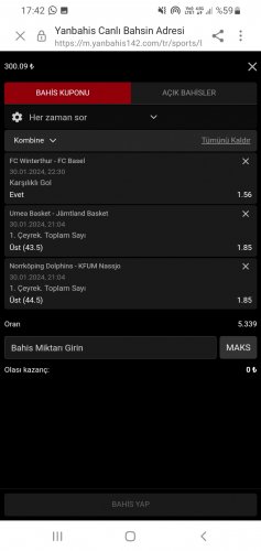 Screenshot_20240130-174253_Samsung Internet.jpg