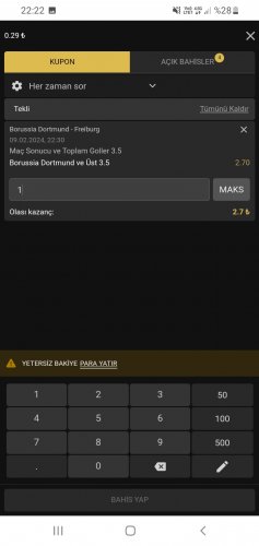 Screenshot_20240209-222213_Samsung Internet.jpg