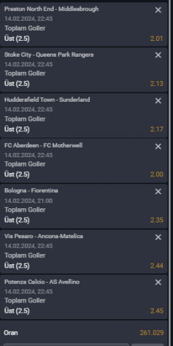 Ekran görüntüsü 2024-02-14 151539.png