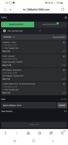 Screenshot_20240221-221245_Samsung Internet.jpg