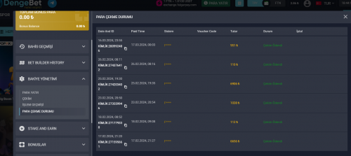 Ekran görüntüsü 2024-03-18 184425.png