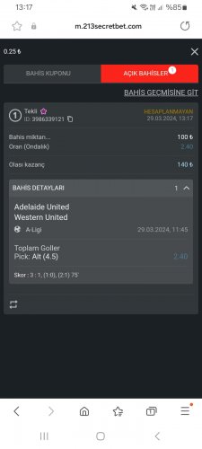 Screenshot_20240329_131718_Samsung Internet.jpg