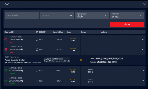 Ekran görüntüsü 2024-07-24 171200.png