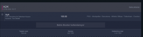 Ekran görüntüsü 2024-08-24 214307.png