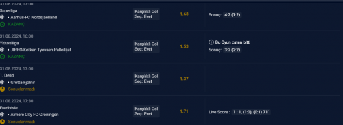 Ekran görüntüsü 2024-08-31 185916.png