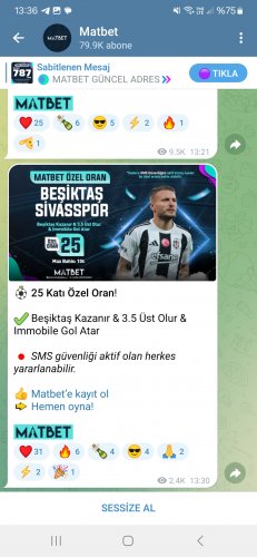 Screenshot_20240901_133632_Telegram (1).jpg