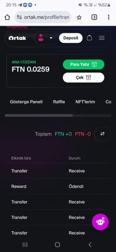 Screenshot_20241111_201528_Chrome (1).jpg