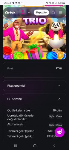 Screenshot_20241116_233307_Chrome (1).jpg