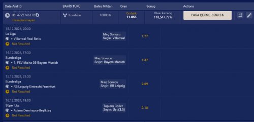 WhatsApp Image 2024-12-12 at 17.22.40.jpeg