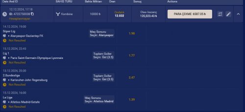 WhatsApp Image 2024-12-12 at 17.22.18.jpeg