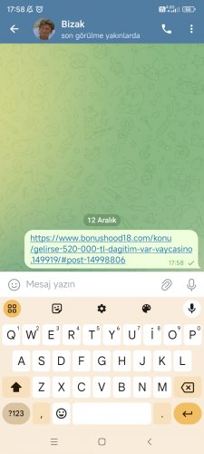 Screenshot_2024-12-12-17-58-53-606_org.telegram.messenger.jpg