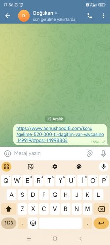 Screenshot_2024-12-12-17-56-40-628_org.telegram.messenger.jpg