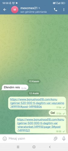 Screenshot_2024-12-12-18-58-55-935_org.telegram.messenger.jpg
