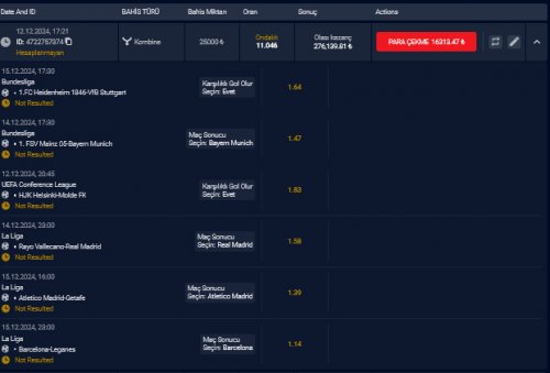 WhatsApp Image 2024-12-12 at 17.24.35.jpeg