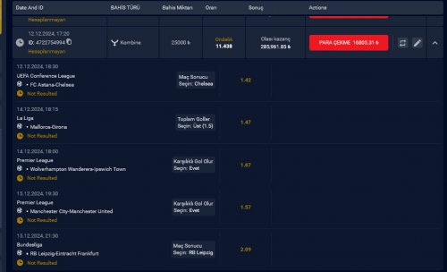 WhatsApp Image 2024-12-12 at 17.24.07.jpeg