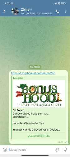 Screenshot_2024-12-16-17-03-21-993_org.telegram.messenger.jpg