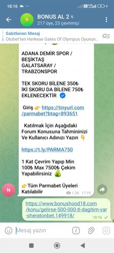 Screenshot_2024-12-16-18-16-30-332_org.telegram.messenger.jpg
