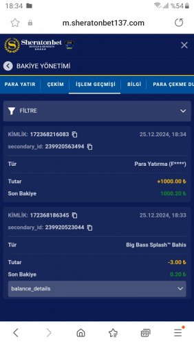 Screenshot_20241225-183457_Samsung Internet.jpg