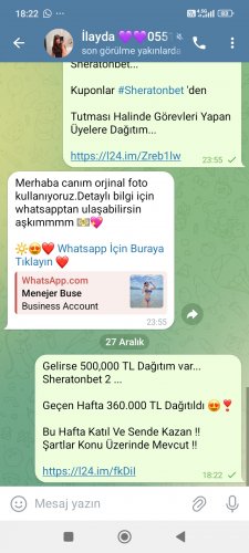 Screenshot_2024-12-27-18-22-25-117_org.telegram.messenger.jpg