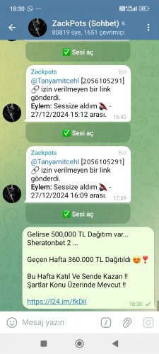 Screenshot_2024-12-27-18-30-18-186_org.telegram.messenger.jpg