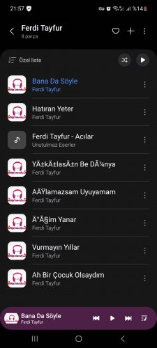 Screenshot_20250107_215747_Samsung Music.jpg