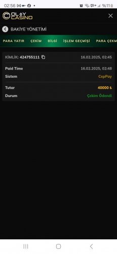 Screenshot_20250216_025608_Chrome Dev.jpg