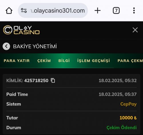 Screenshot_20250218_082354_Chrome Dev.jpg