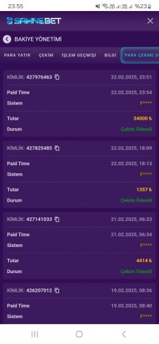 Screenshot_20250222_235548_Samsung Internet.jpg